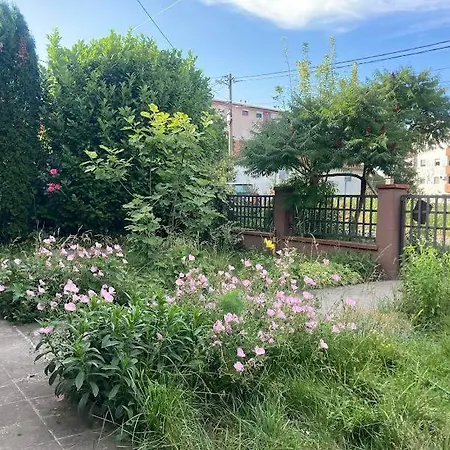 Artists Inn, Large 2 Bed Duplex Apartment, Parking * Zemun Polje