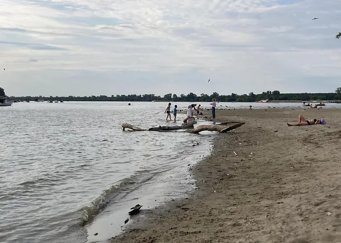 Artists Inn, Large 2 Bed Duplex Apartment, Parking Zemun Polje